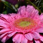 DSC_0580_150_w150_h150_cw150_ch150_thumb