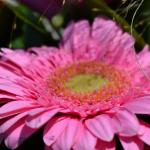 DSC_0580_700