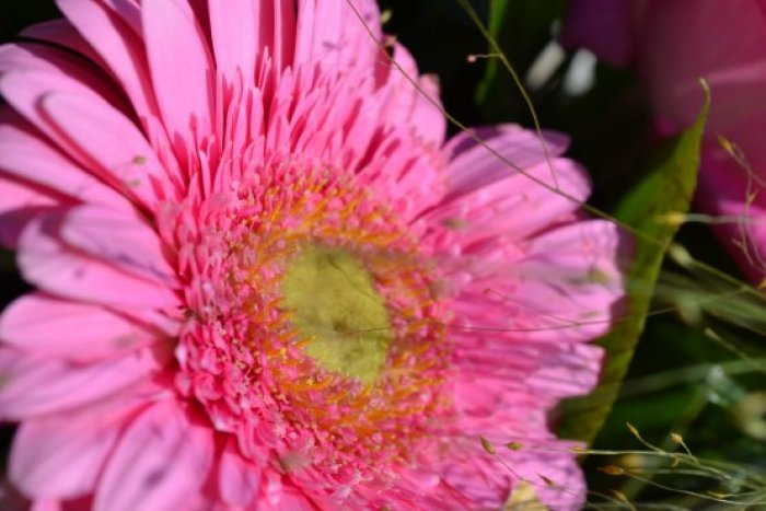 DSC_0581_555