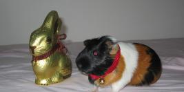 Chez les parents d'Anaïs