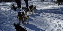 vacance a la neige