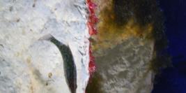 vacances a la grande motte