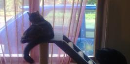 Chez Mégane et son copain