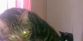 Chez Mégane et son copain