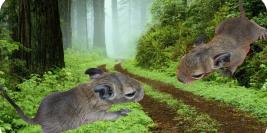 le samedi 1er mai 2010