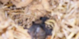 le mercredi 28 avril 2010