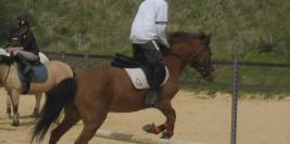 cheval anais papa