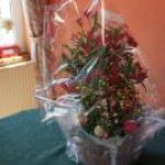 DSC02771_w267_h133_cw267_ch133_thumb