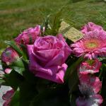 DSC_0574_150_w150_h150_cw150_ch150_thumb